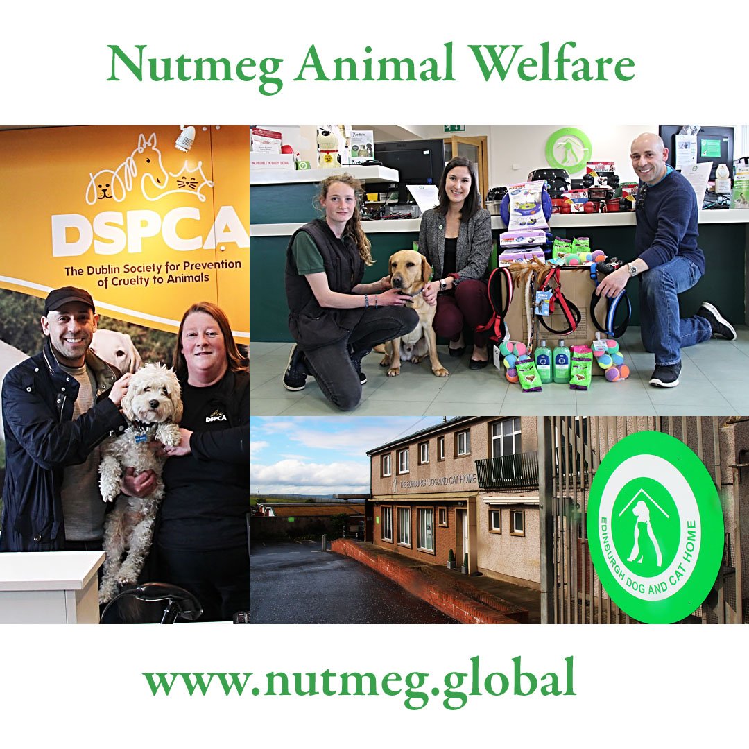 creativjunglpod's tweet photo. Our friend @E_Scal is celebrating a 5 year anniversary today with his non-profit charity @NutmegAnimals. Hear the stories that led him to champion a cause for distressed animals while covering the defending champions @Patriots below 👇 

#podcasts #animalwelfare #Nonprofits https://t.co/tlZu0kaxd5