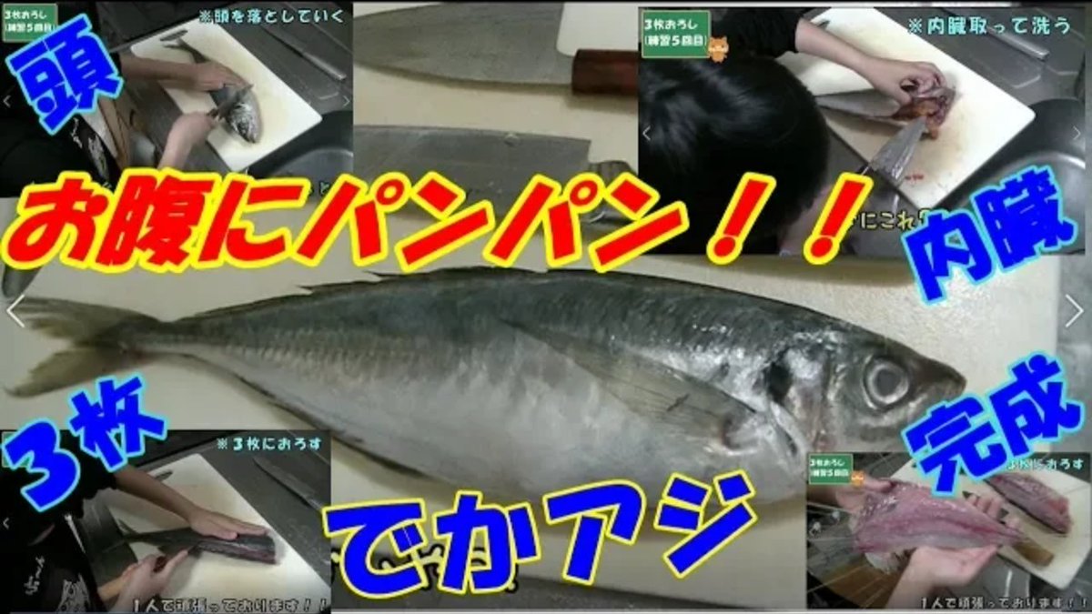 Kazu1125 على تويتر アジの3枚おろし 5回目 後半 毎週火 木 土に動画アップしてますq Q T Co Oe9unn8k5w 1回目に比べたら かなり捌けるようになってますね 暇潰しに見てください ー あじ アジ 鯵 3枚おろし お刺身 たたき Youtube