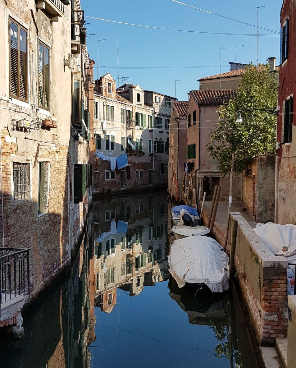 Camping Ca' Savio tweet media