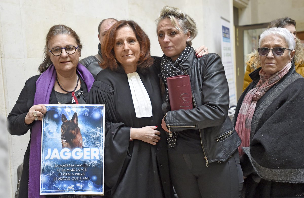 "Le tueur du chien #Jagger" condamné à 12 mois de prison avec sursis. "J'aurais préféré qu'il reparte avec les menottes", réagit la propriétaire du berger allemand abattu de trois cartouches de fusil à Augé (79)
francebleu.fr/infos/faits-di…