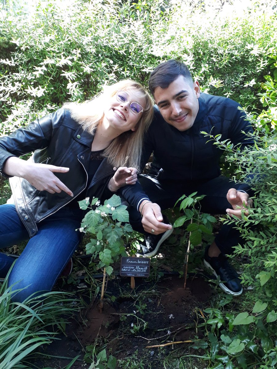 EDF_Normandie's tweet image. Ce midi on plante ! Atelier jardinage dans le patio de nos locaux avec nos voisins d&apos; #Helpevia 🌱🌿
#biodiversite #nature
