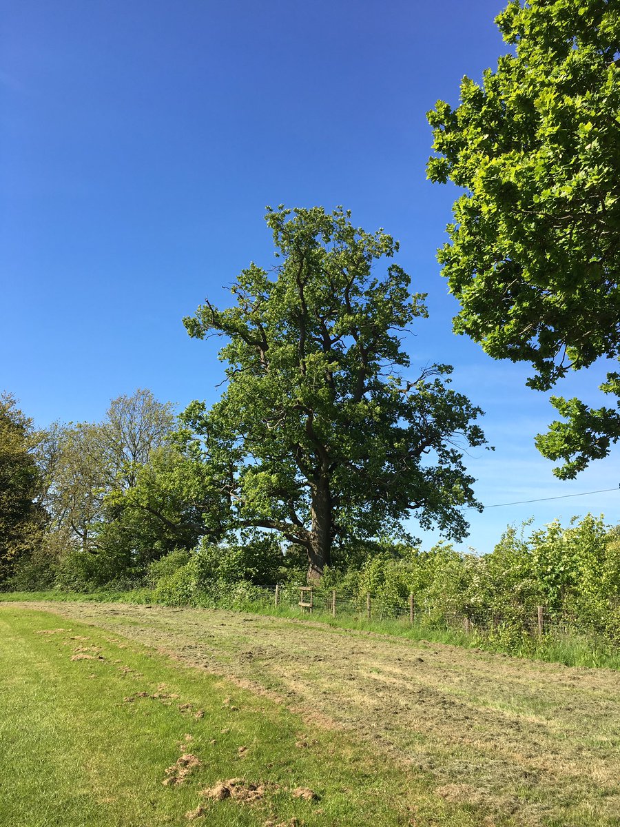 All set for a fabulous weekend festival and the weather is looking good too 
Just been up for a site visit this morning 
Last chance to get a ticket and find out what Roots is all about folks