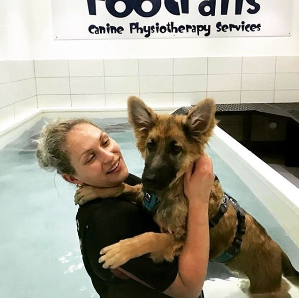 WeAcceptPets's tweet photo. Footfalls in #Essex will make sure your #pet get the best #treatment possible. Whether your pet needs #physicaltherapy or even #hydrotherapy, they are here to help!

https://t.co/YKMVtucw63

#PetTherapy #PetServices #PetService #PetLovers #DogLovers #Therapy #HappyDog https://t.co/JEFc8ddNgP