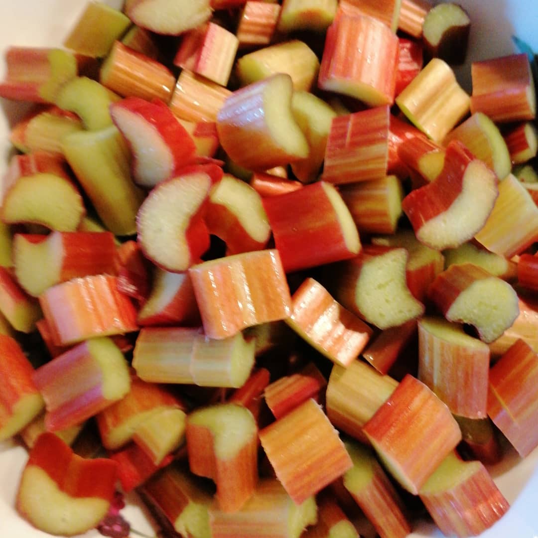 Fresh rhubarb from the garden, yum!  Leaves now soaking to make oxalic acid for the dyehouse. #homegrown #freshrhubarb #naturaldyes #slowdyeing #ecodyeing #doingthebestjob