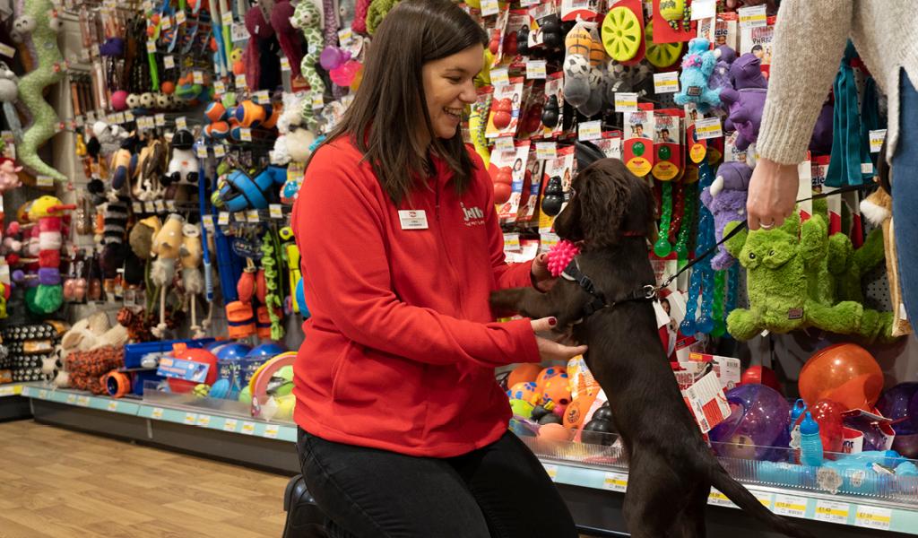 jollyes pet food store