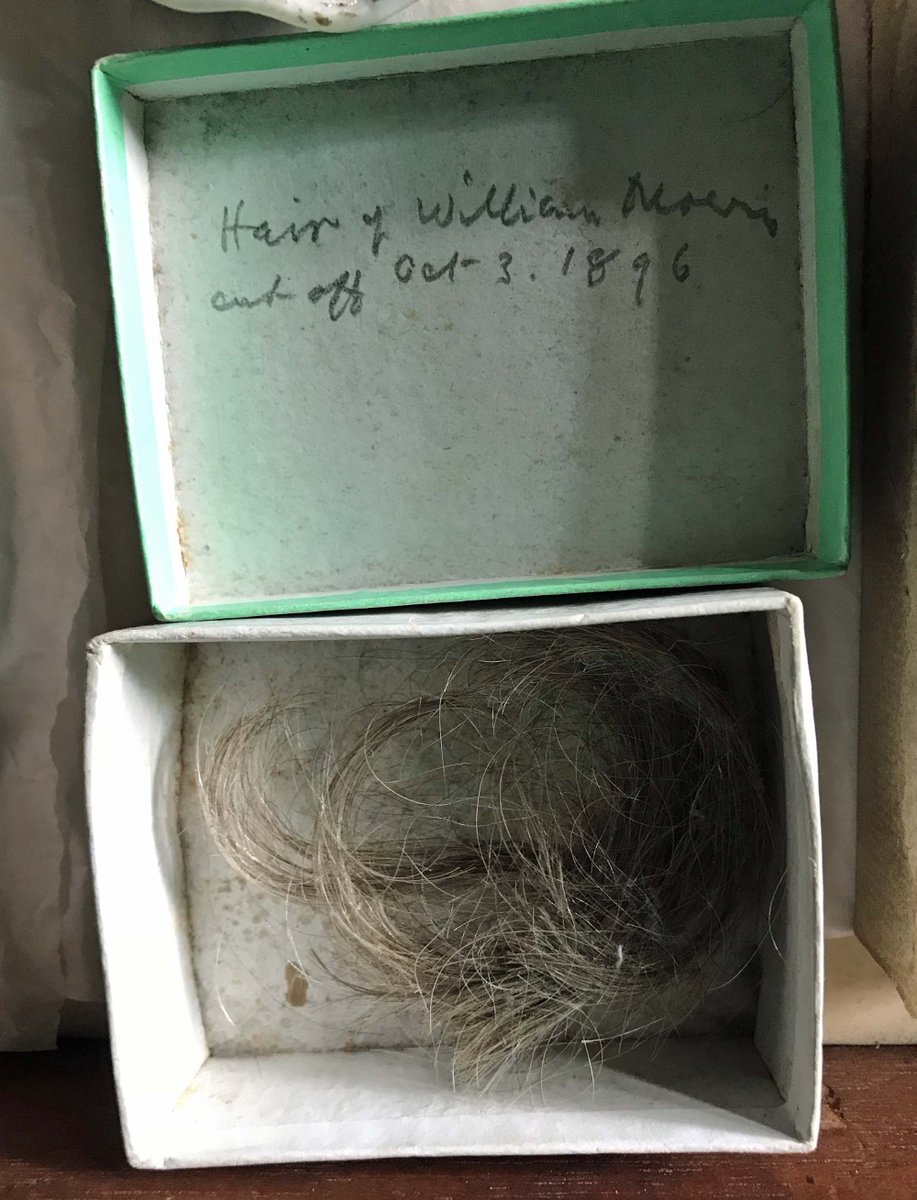 Museum Crush tweet media