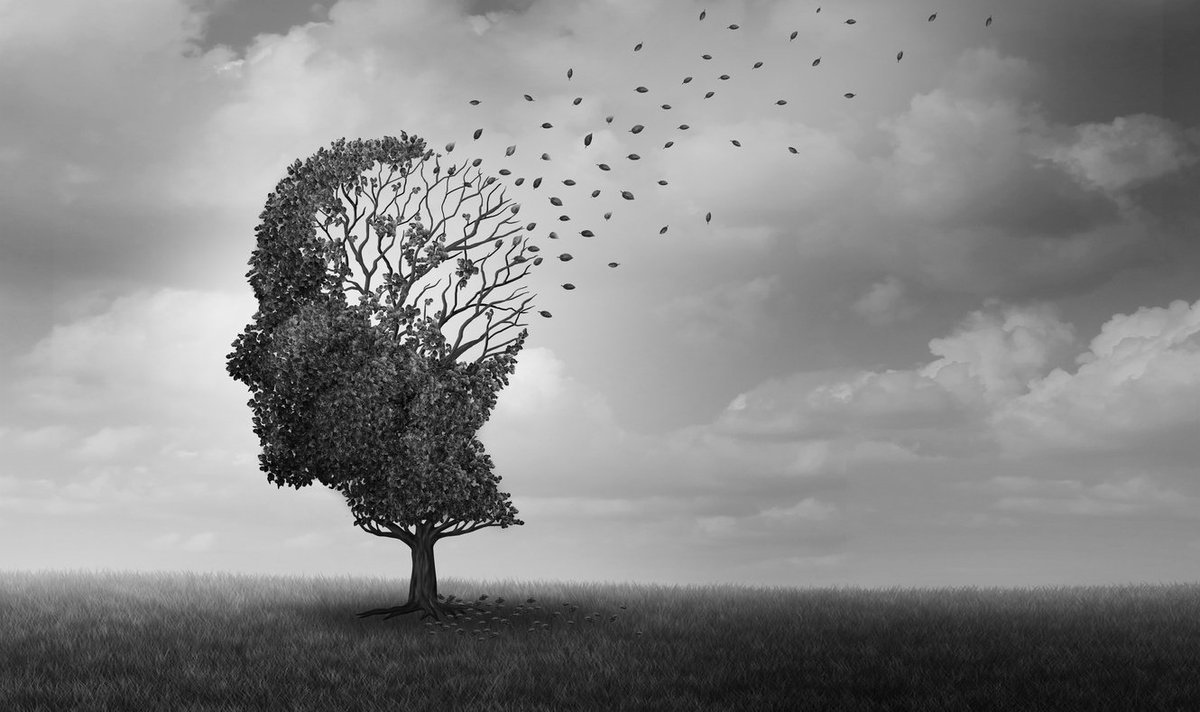 UKWilldisputes's tweet image. What is testamentary capacity? 

Our specialist will dispute solicitors answer this and more in our latest blog:

ukwilldisputes.co.uk/what-is-testam…

#willdisputes #testamentarycapacity #solicitors