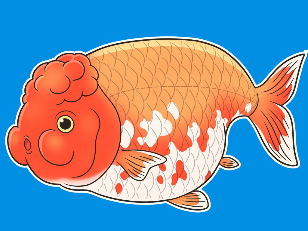 うつつゆめ ランチュウ ランチュウ 金魚 オリジナル T Co Pgubqaahox