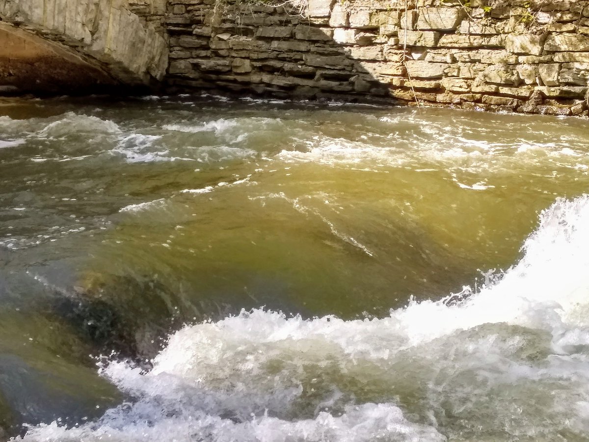 Life comes and goes  before you know it your gone . 
Life should not be taken for granted.
Life is never easy , No one ever said it would be.
Life does not come with instructions , hell if it did it would such be alot more easier for us all.
Live your life to it's fullest.