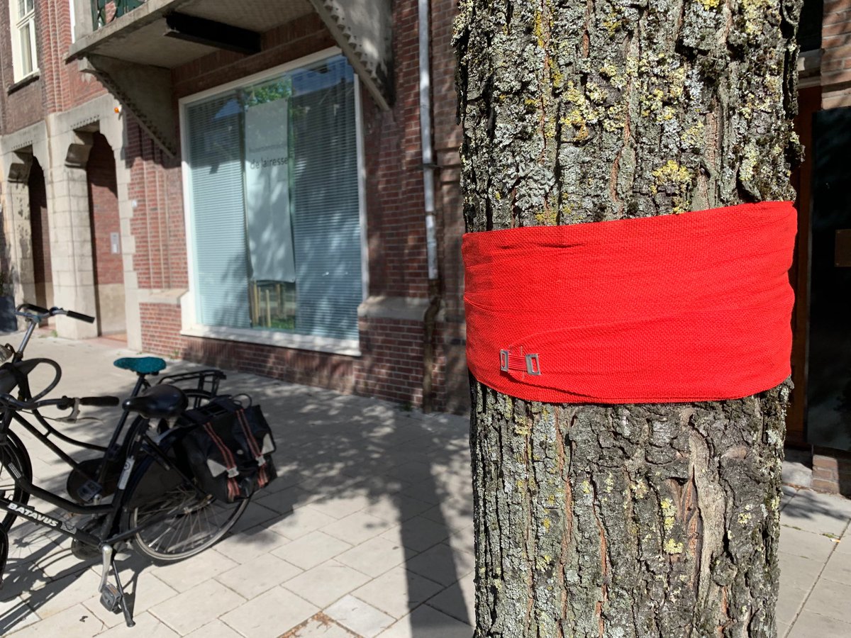 Anke Teunissen tweet media