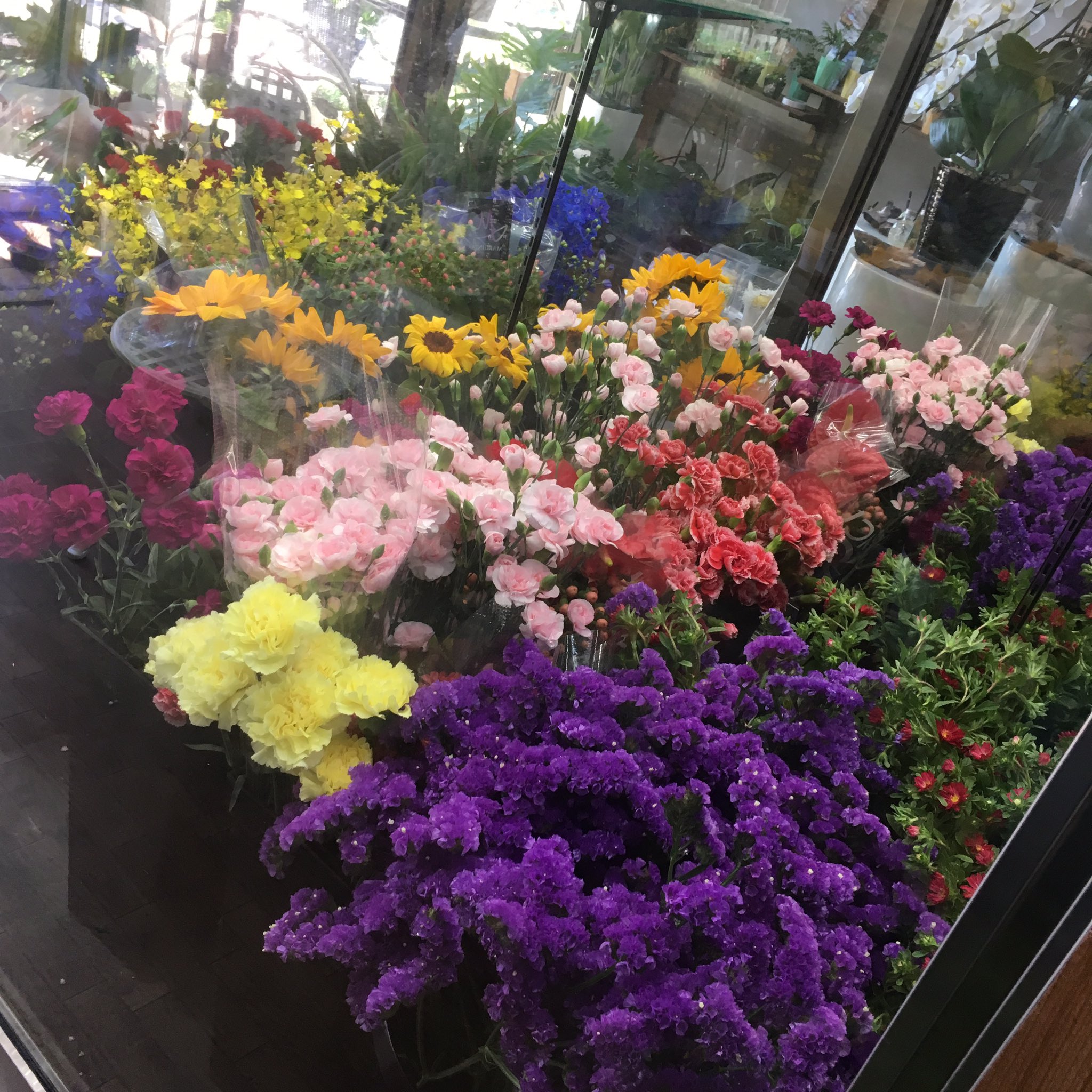 6月1日花屋店舗撮影と販売について Twitter