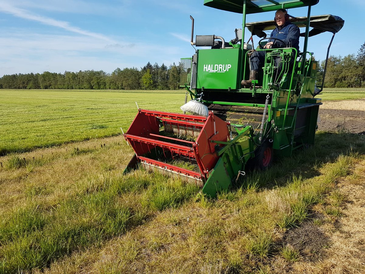 WUR_Valthermond's tweet photo. Proefveld groenbemesters maaien met de #haldrup om de #opbrengst en vervolgens het percentage #drogestof te bepalen. #Proefbedrijf #Marwijksoord #WUR https://t.co/ROMohbbA5L