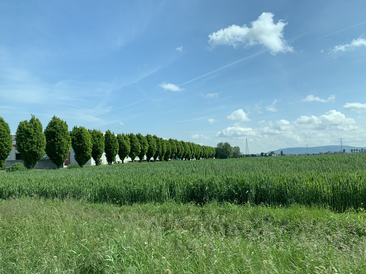 itspr's tweet image. Beautiful Venice ... we landed to shoot creative campaigns for one of our interior clients .... watch this space.. Ciao Ciao 🕶
.
.
#venice #italy #creative #pr #interiordesign #madeinitaly #itsprlondon
