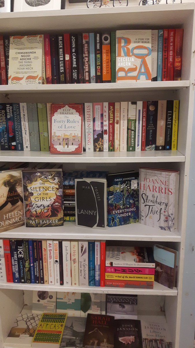 Skylark in Lewes has a good selection of talked-about just-out  fiction, alongside some curated shelves of real classics! #skylarkshop #independentbookshops #Lewes