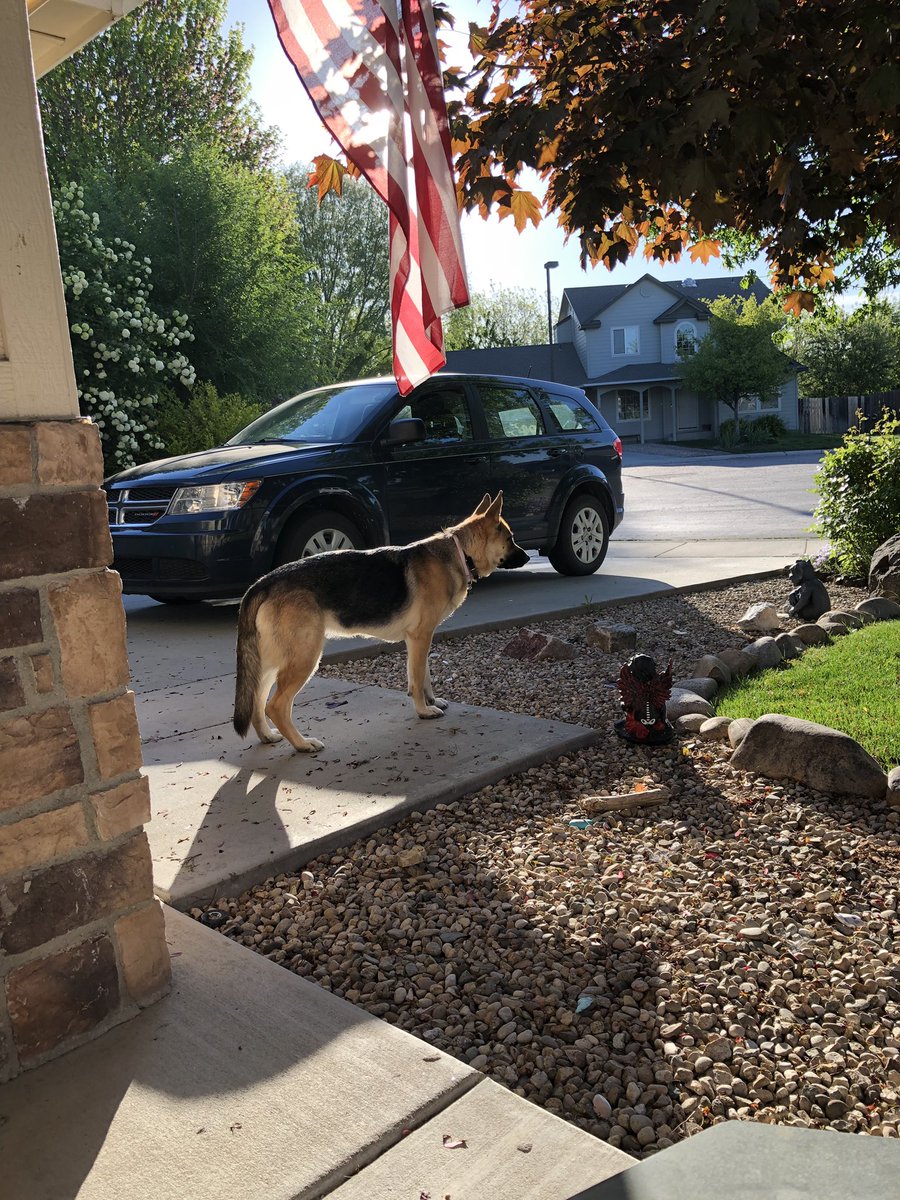 Pretty Remi enjoying out front