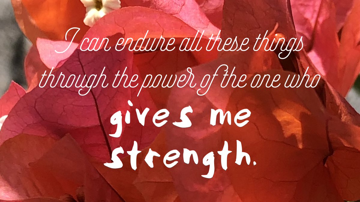 I can endure all these things through the power of the one who gives me strength. 
Philippians 4:13 CEB
#bible #Jesus #tuesdaytestimony #TuesdayMotivation #TuesdayThoughts