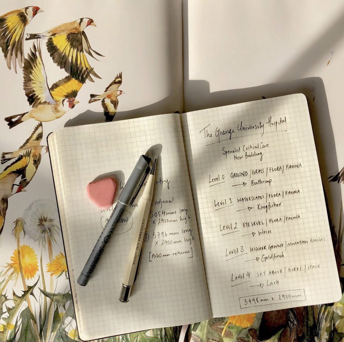 Alison O'Toole (@alisonotoole) on Twitter photo Planning the layout for our newest commission 🏥🎨 with @JackieMorrisArt and <a href="/RobGMacfarlane/">Robert Macfarlane</a> #TheLostWords #hospitalart #healingart #thegrangeuniversityhospital #criticalcare #natureinside Planning the layout for our newest commission 🏥🎨 with @JackieMorrisArt and <a href="/RobGMacfarlane/">Robert Macfarlane</a> #TheLostWords #hospitalart #healingart #thegrangeuniversityhospital #criticalcare #natureinside
