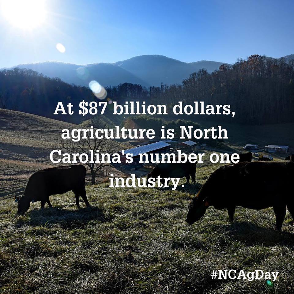 We’re proud to be a part of it!