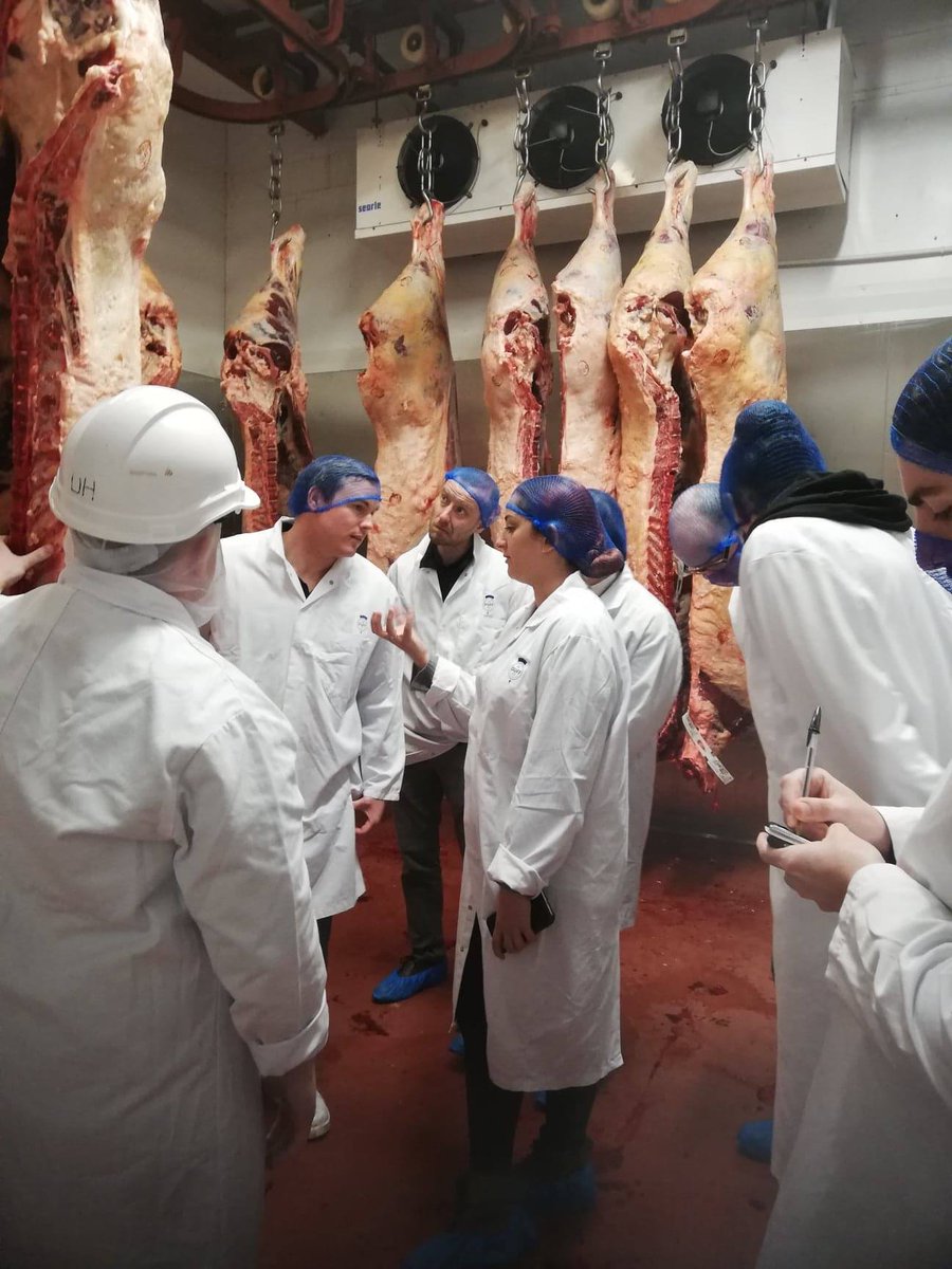 HawksmoorEDI's tweet photo. A couple of weeks back, some of the team went our to Wishaw &amp; Biggar to visit some of the amazing farms who work with @MacDuffBeef to supply our incredible beef... The team learned about all aspects from the feed used for the cattle to the dry-ageing process... #locallysourced https://t.co/T2OIS1aouD