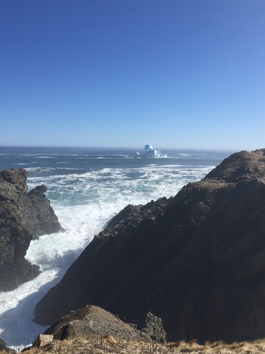 Still lots off bergs today. #explorenl #lighthouse.