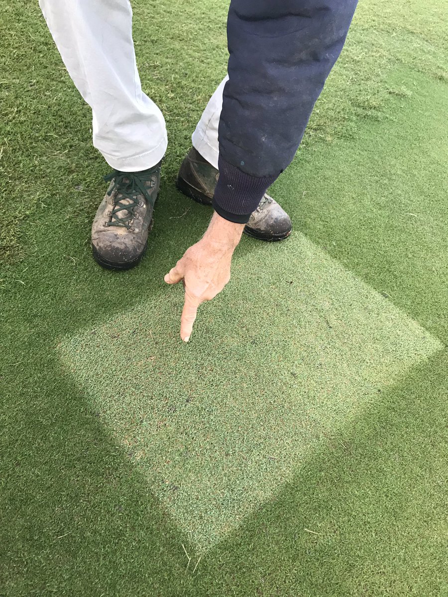 turfdom's tweet image. Iron! What can foliar Fe do for you? Well here’s what a check on a Tifeagle green says... a lot! So does Mark Hoban, GCS. Simplot has one that’s a hit called #ExtremeGreen16 #Fe @SimplotPartners