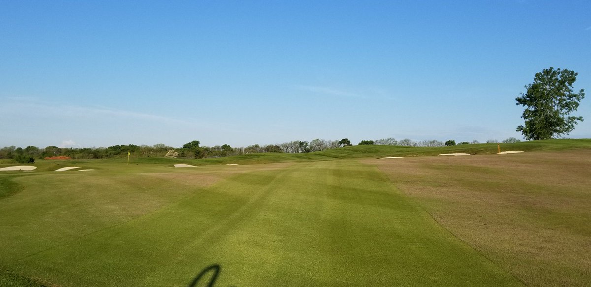 golfnewt28's tweet photo. Just absolutely love zoysia seedheads....... 😨🤦🏼♂️ #100percentsarcastic #cuttingwire #dullmowers #LifeAtCanyon https://t.co/LCfIS8Zfeo