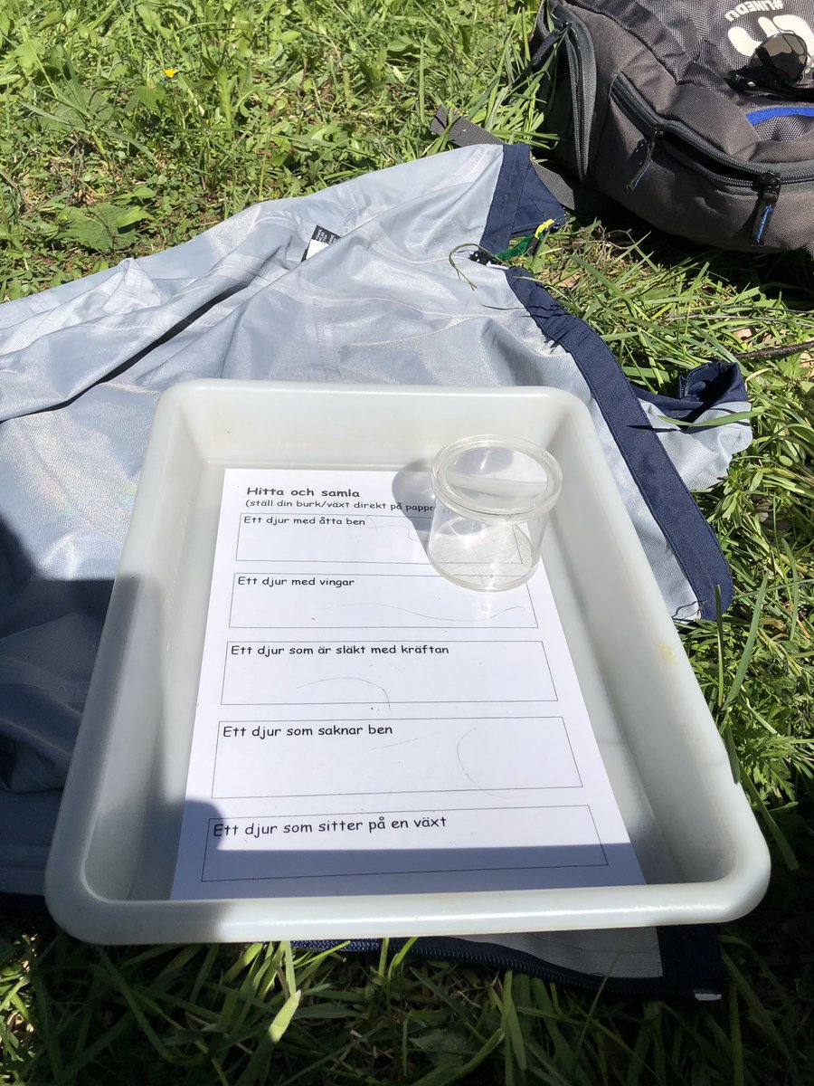 Vilken förmån att få undersöka liv i vatten med Naturskolan.