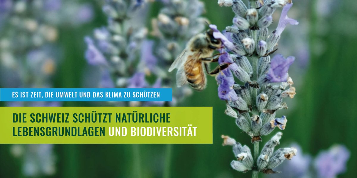 Die Schweiz muss die natürlichen Lebensgrundlagen und die #Biodiversität schützen. Fehlanreize in der Landwirtschaft müssen beseitigt und der überhöhte Einsatz von #Pestiziden vermieden werden. #EsistZeit die Umwelt und das Klima zu schützen.