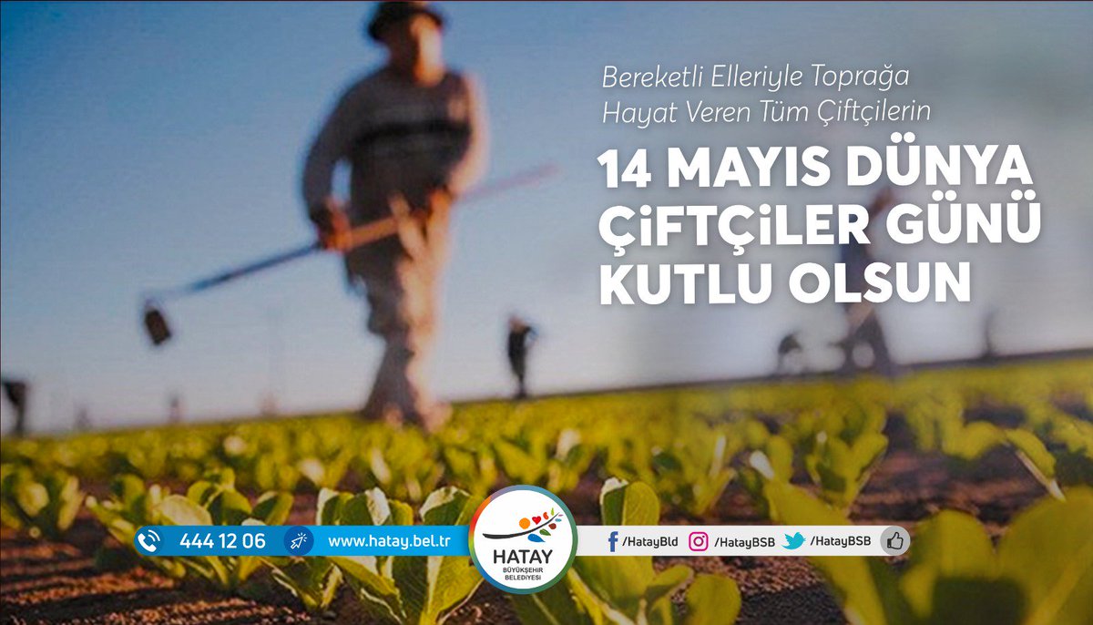 Lütfü Savaş