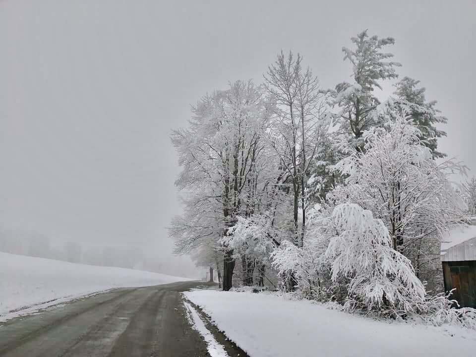 Vermont Weather (Burlington, Waterbury, Johnson engineering, harbor