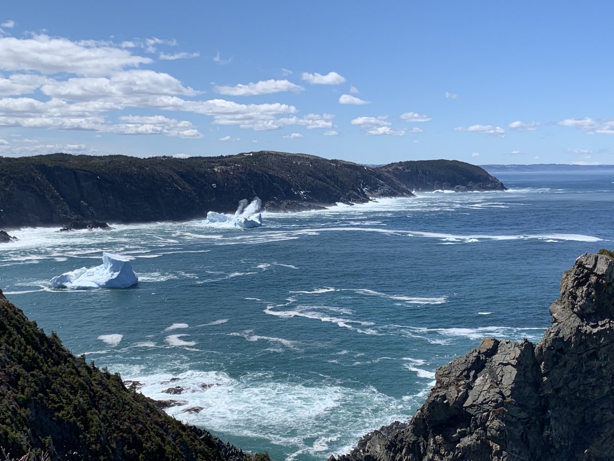 EddieSheerr's tweet photo. Beautiful view of icebergs near the coast at La Scie! Thanks for sharing Tyler Gray! #nlwx https://t.co/qvvbwCuPex