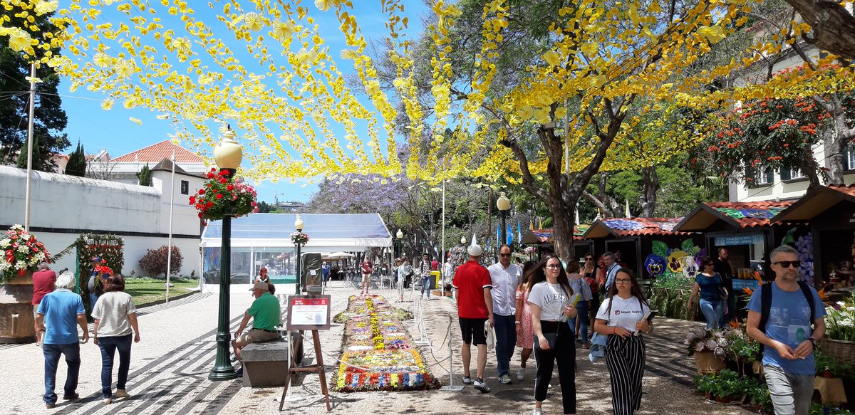 MiniBus23's tweet image. @peroladoatlantico23 #privatetour #travelbyyourself #personalizedtour #personaltour #mountains #levadawalks #privatelevadawalk #singletourism #gaytourism #LGBT #traveling #vacation #ustourism #trip #holiday #fun #travelling #tourist #privatetravel #visitmadeira #madeiraislands