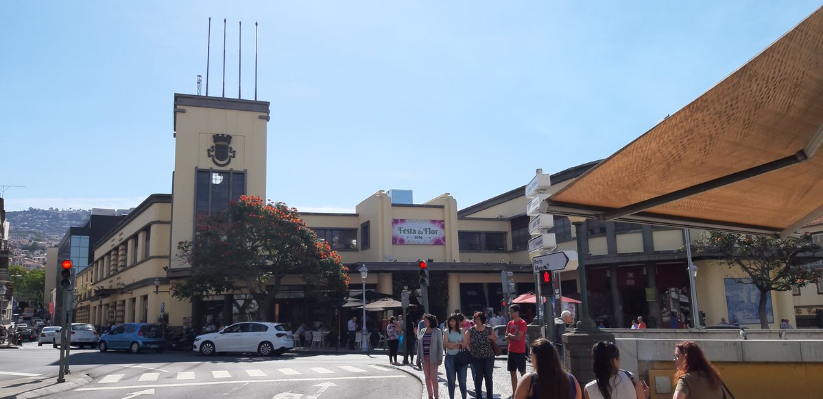 MiniBus23's tweet image. @peroladoatlantico23 #privatetour #travelbyyourself #personalizedtour #personaltour #mountains #levadawalks #privatelevadawalk #singletourism #gaytourism #LGBT #traveling #vacation #ustourism #trip #holiday #fun #travelling #tourist #privatetravel #visitmadeira #madeiraislands