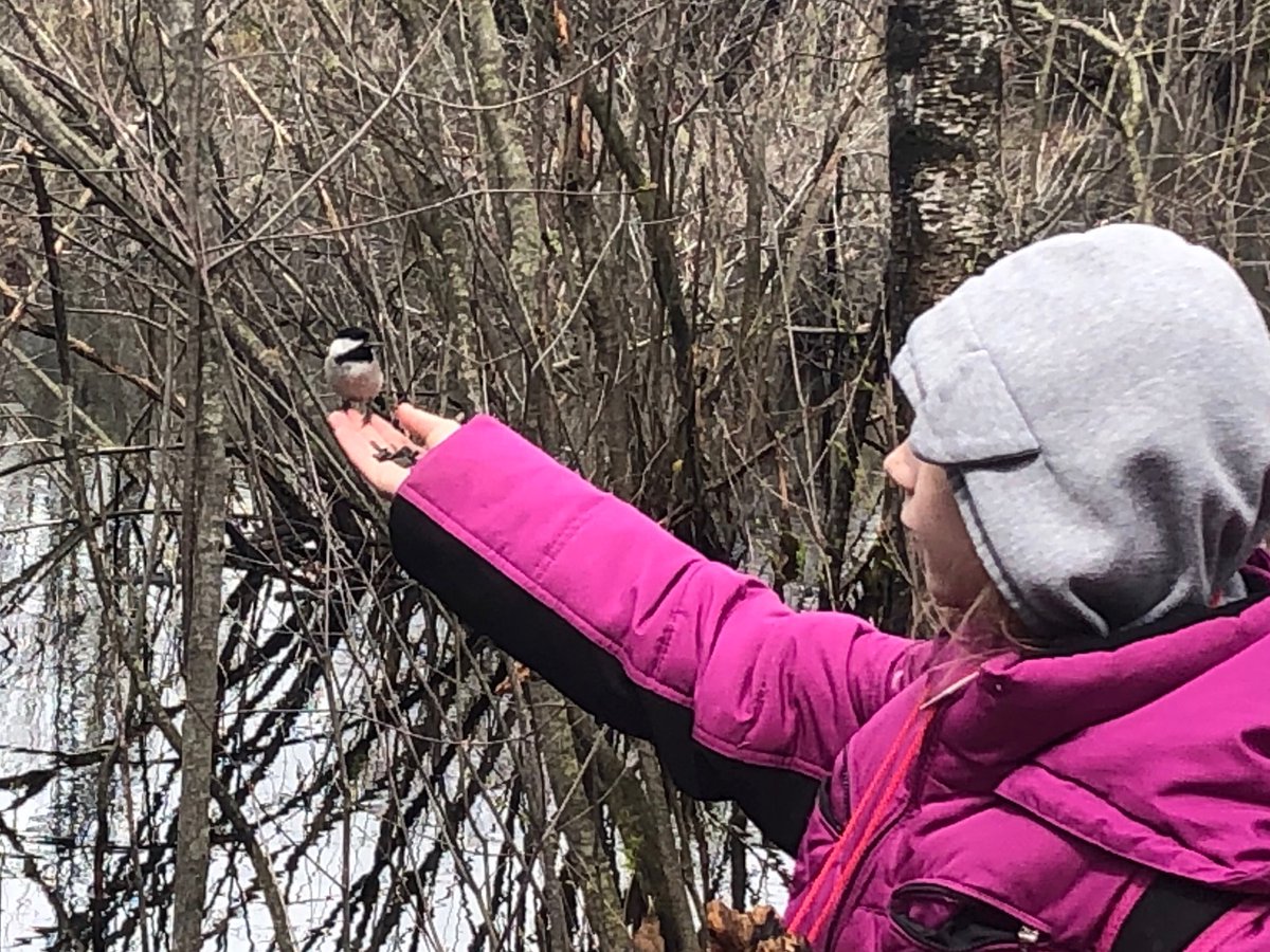 Hands on Learning with Forest School at Mer Bleu Bog ⁦<a href="/McHughEduCentre/">M.F. McHugh Education Centre</a>⁩ ⁦<a href="/MilyVery/">EmilyVery</a>⁩ #thisishowwes