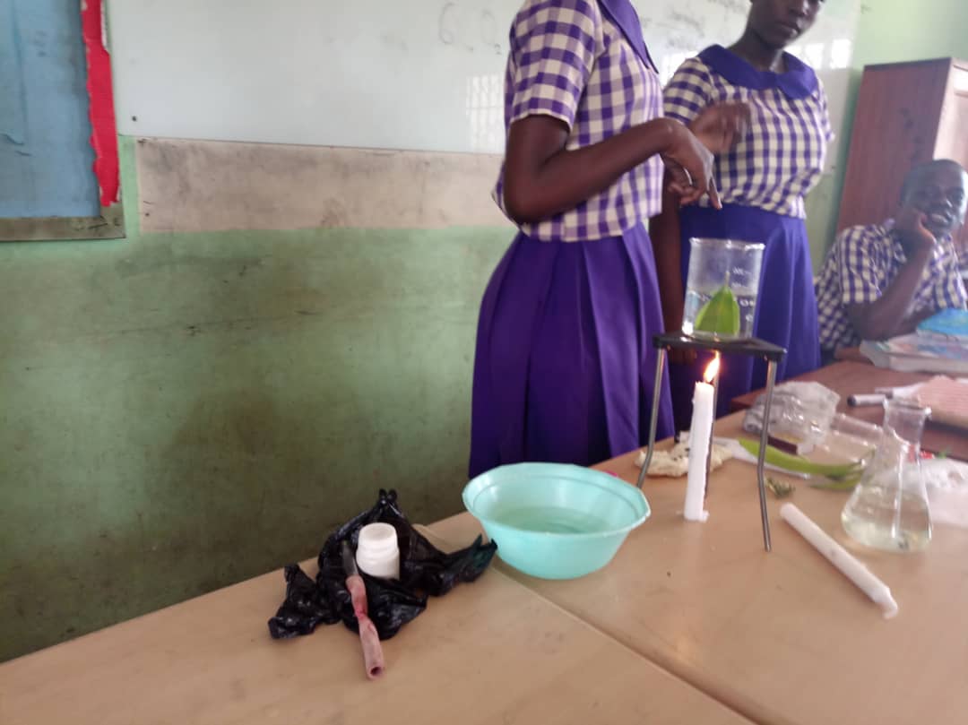 PEN_ed's tweet photo. It's back to school with a bang! these students take on photosynthesis in their quest to prove that leaves exposed to sunlight contains starch.
What do you remember about photosynthesis?
#HandsonMindsup #PENgh https://t.co/lWravoirV7