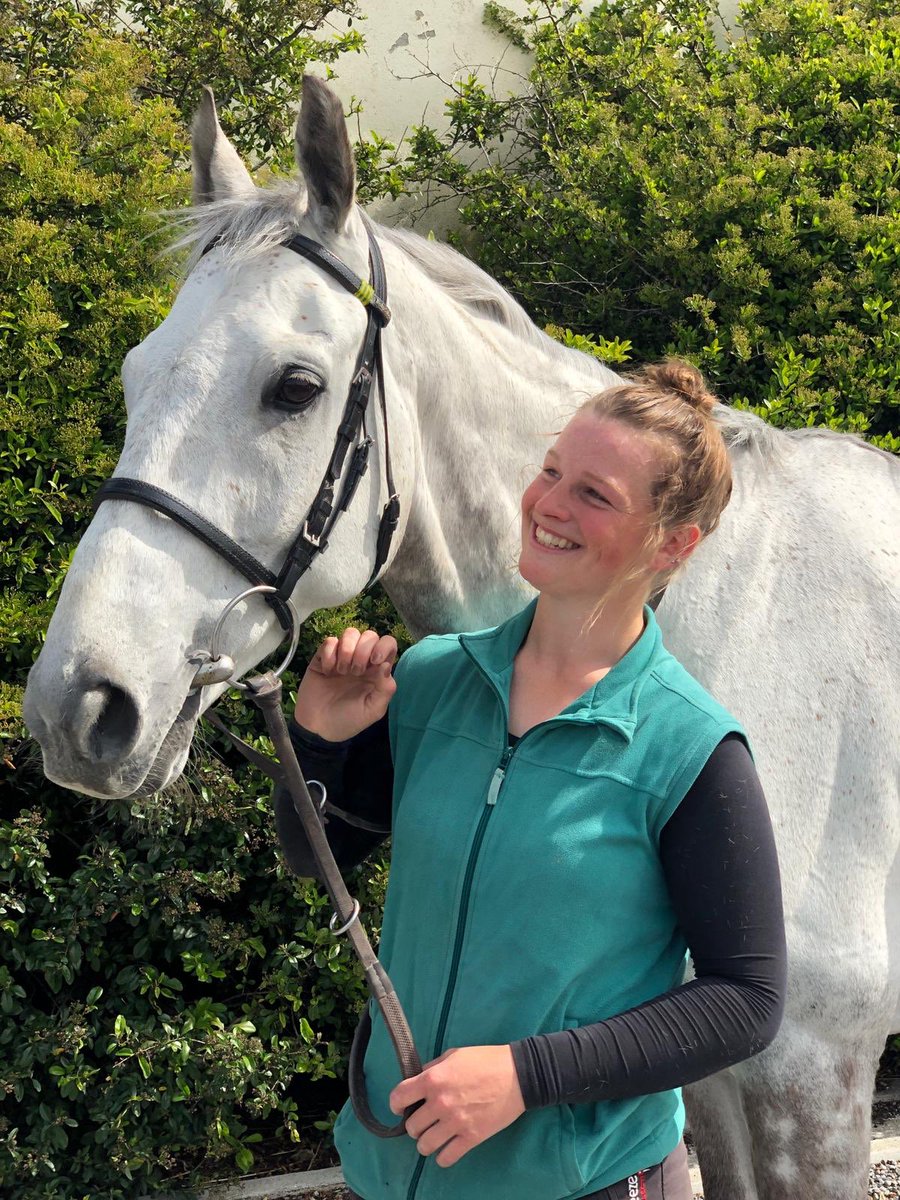 Willie Mullins tweet media
