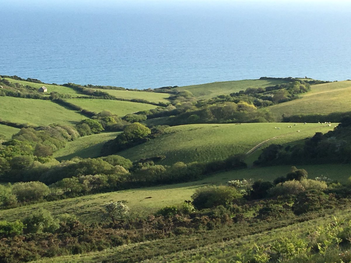 Lovely evening- a well lite landscape!