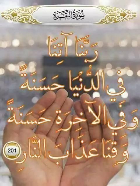 AymanShamah's tweet photo. https://t.co/HYO5GYJOqI
