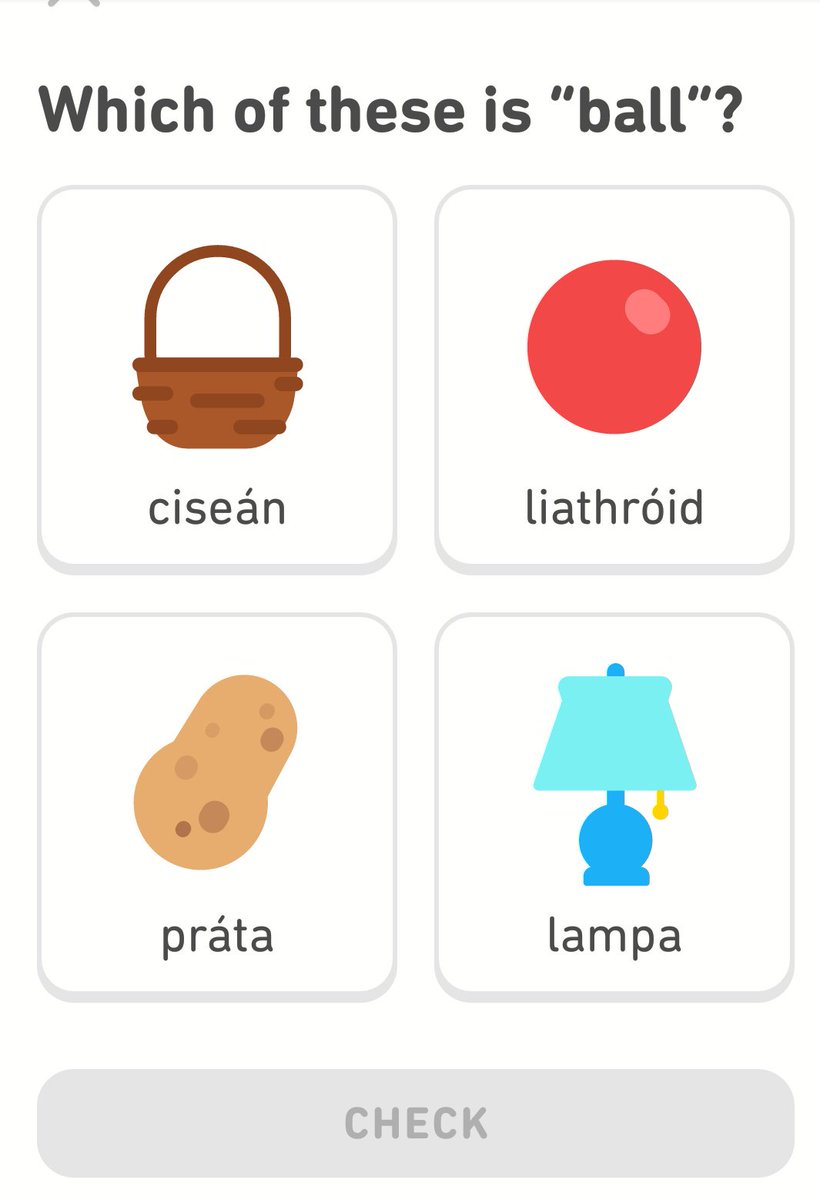 Is it ...the one with a picture of a ball?  #DuoLingo