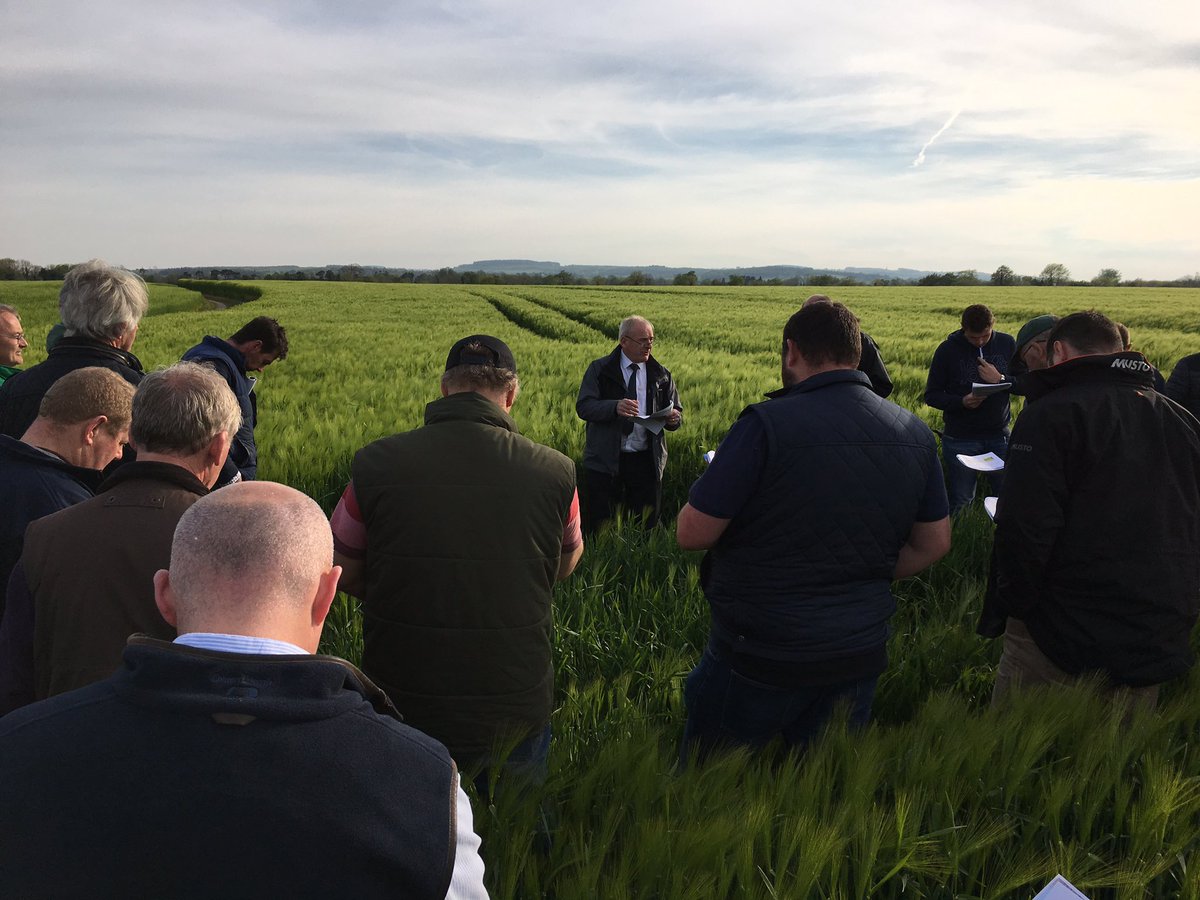 Andy Doyle has kicked off reviewing the winter barely, he noted that the ‘Challenge that growers have is to make sure all fields are working to capacity’ 🌾🌱 #GlanbiaTillageProgramme