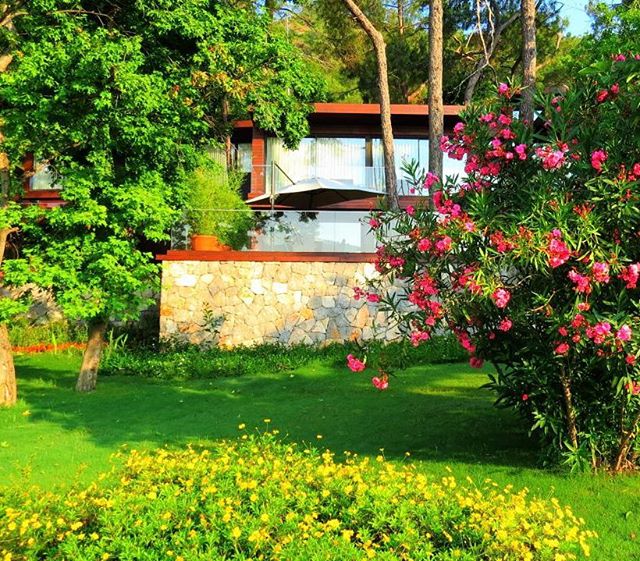 AliAbbasiH's tweet image. Rixos Premium Gocek, Turkey

#rixoshotels #rixospremiumgocek #gocek #rixos #wonderfulplaces #hotels #resorts #turkey