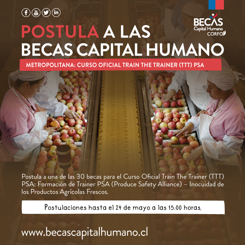 AgronomiaUC's tweet photo. Quedan pocos cupos para el Curso de Formación de Entrenadores Líderes de la Norma FSMA, para los productos frescos exportados a USA. Chile necesita entrenadores para apoyar a nuestros exportadores!!  Postula a la beca AHORA! @Corfo https://t.co/8i52fHv4ut https://t.co/koliGe5lTS