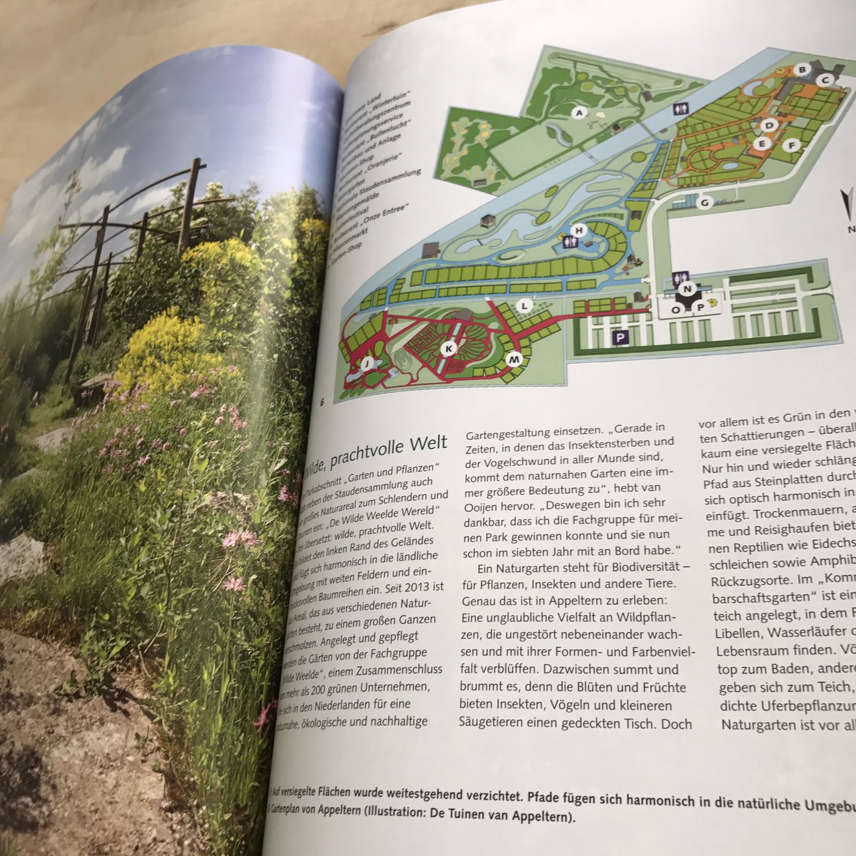 Ben van Ooijen tweet media