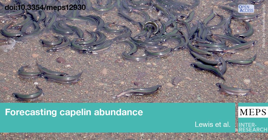 Forage #fish abundance is highly variable, forecasts for management problematic. Model integrates drivers of #capelin; cohort-strength, adult mortality, overwintering condition explains 68% of biomass variability. Direct application to stock management bit.ly/meps_616_171