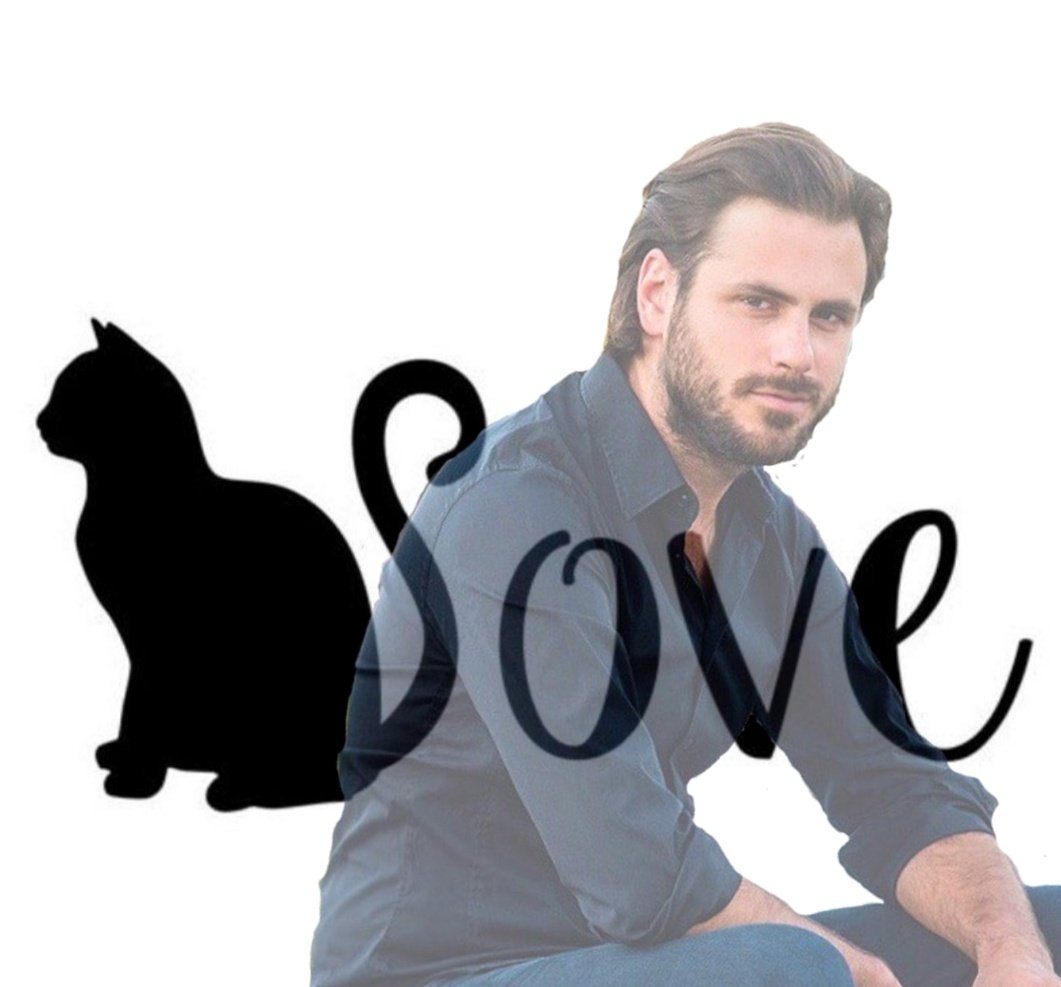 おやすみステパン❤仕事なの？✨
Good night my beautiful cello @hausercello ❤
Do you have work today? Enjoy everything🎶✨😊💕