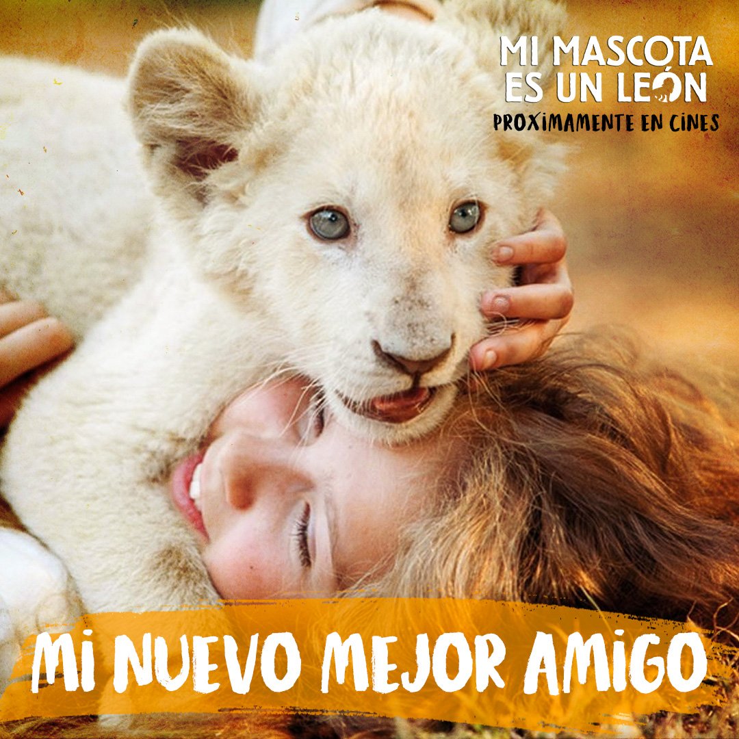 Buin_Zoo's tweet photo. (CONCURSO) #BuinZoo te invita a ver una gran historia de amistad. Dale like a este Tweet, comenta con quién verías este film, haz Retweet y listo, participas por 4 entradas para ir al estreno de #MiMascotaEsUnLeón este 30 de mayo en Cine Hoyts 🤩 (Resultados el lunes 27 de mayo) https://t.co/XXfgddARAp