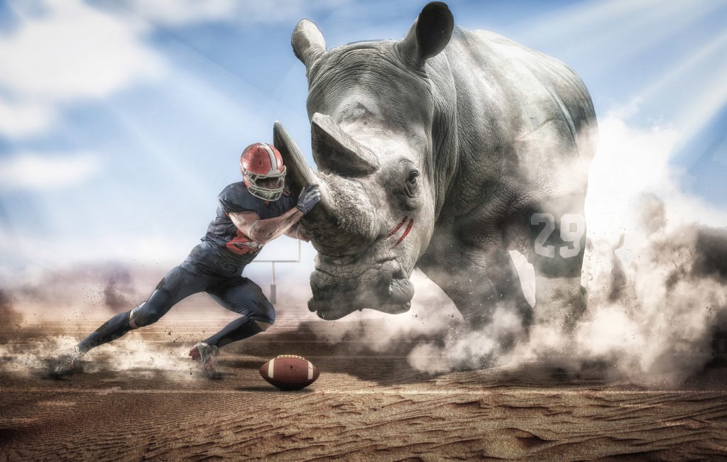 LOOMISagency's tweet photo. Why do we care so much about underdogs and challengers? We believe there are four integral reasons why we love to cheer for the underdog. #barkblog

https://t.co/53IL6lBgzt https://t.co/tX89XbOAZU
