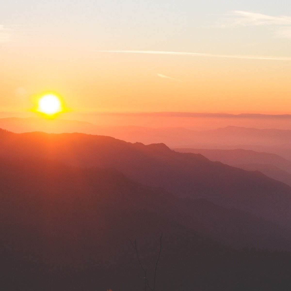 SofiadeBocache's tweet photo. Una mañana más que TUS ojos se abrieron y puedes contemplar la hermosura de la creación. ¡Gloria a Dios! https://t.co/NEgXP9kN2R