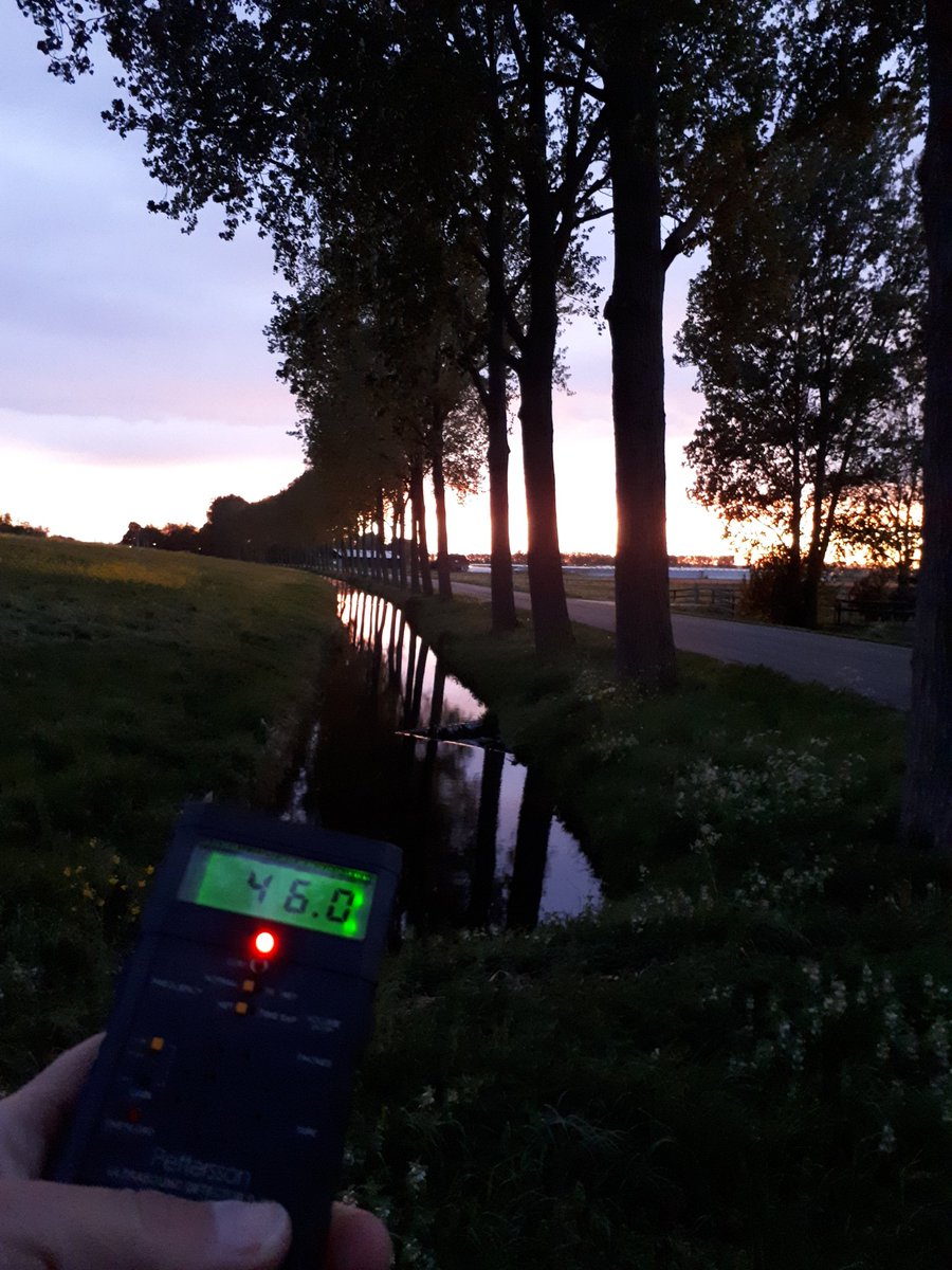 VleermuisWerkgroepNH tweet media