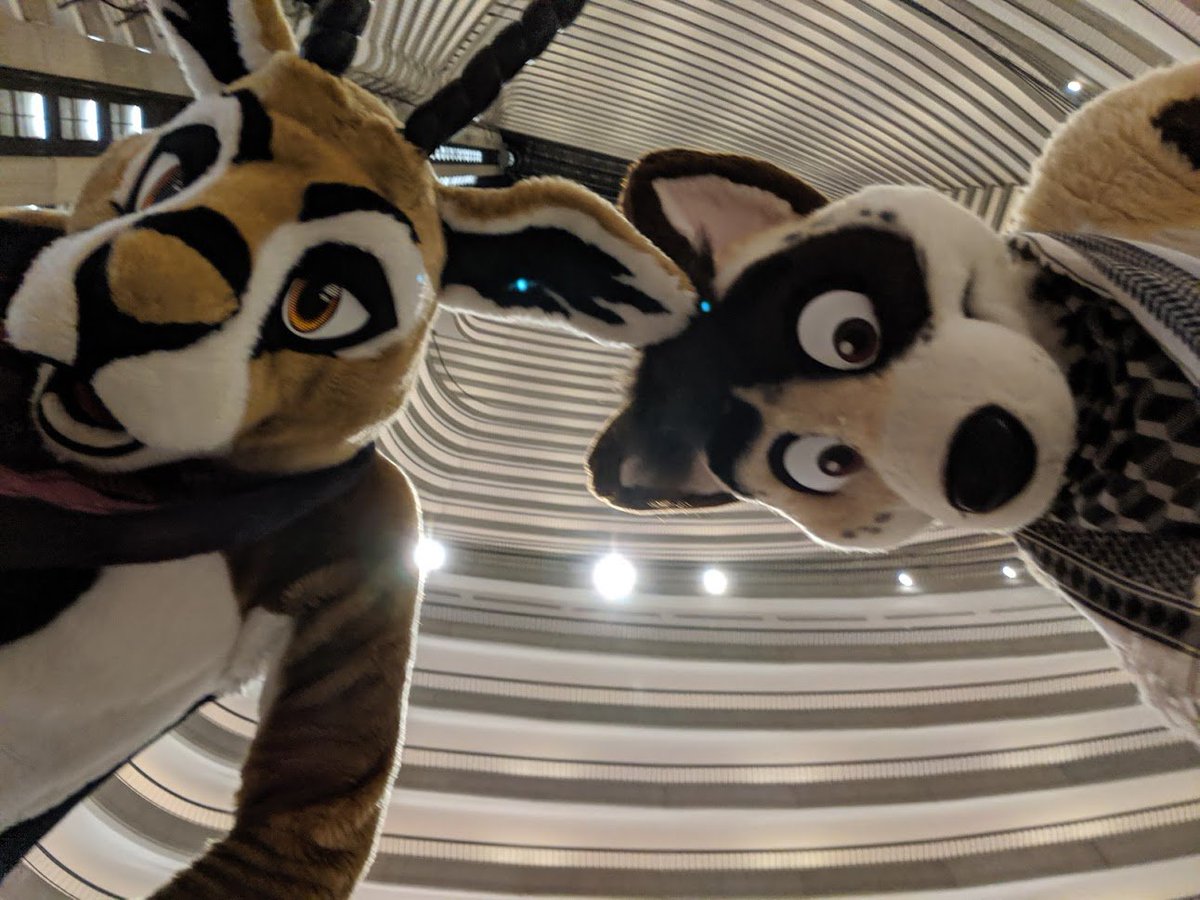 RokoHoof's tweet photo. Just before sunrise on the last night of the con, @KirronArt and I hoofed it with @PronkingAround and @FrisbeePuppy. It was our 10th FWA together ♥ A fantastic close to a weekend I'll never forget. https://t.co/DtqsRlBNd0